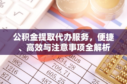 永修公积金提取代办服务，便捷、高效与注意事项全解析