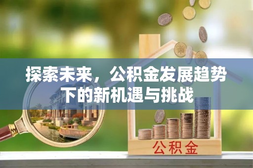永修探索未来，公积金发展趋势下的新机遇与挑战